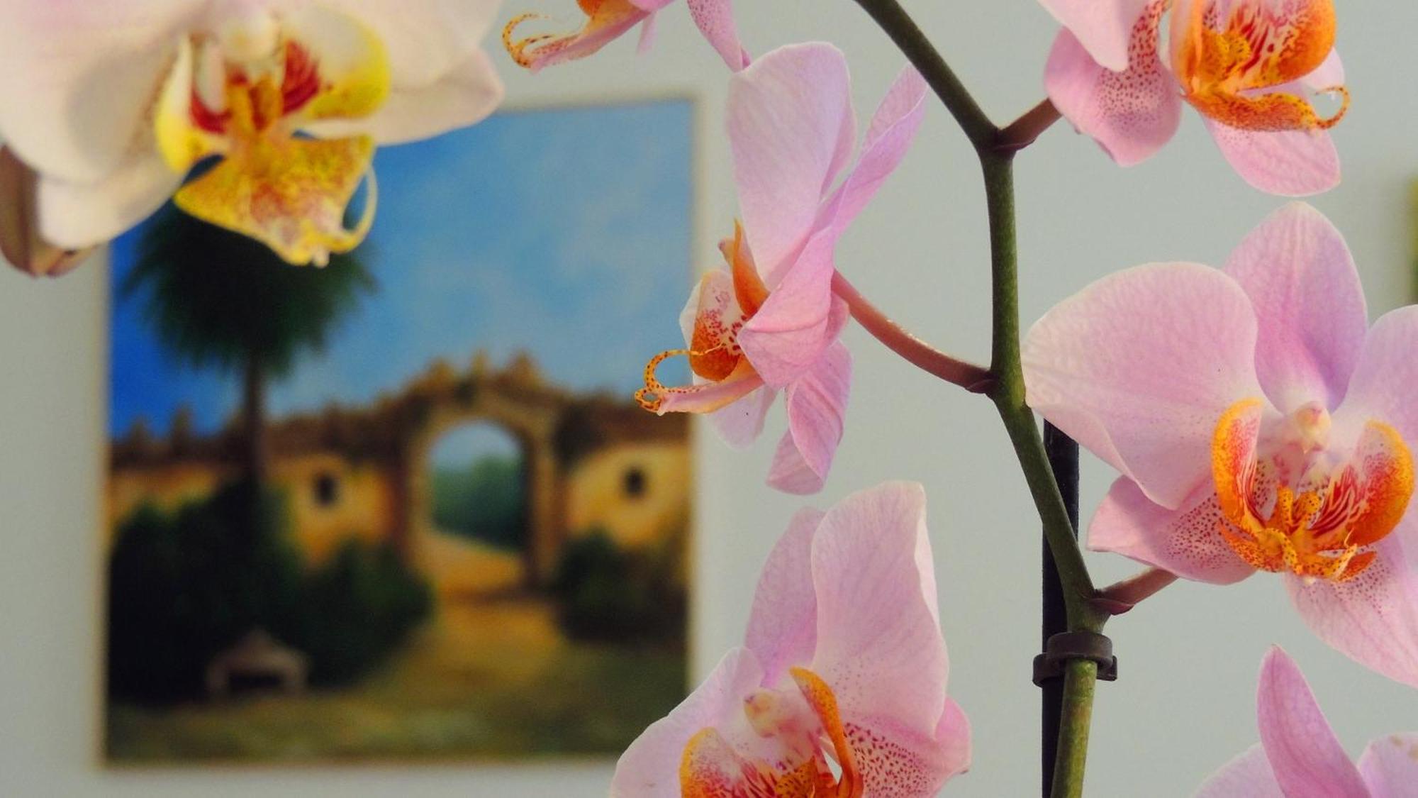 Bed & Breakfast In Itinera Palermo